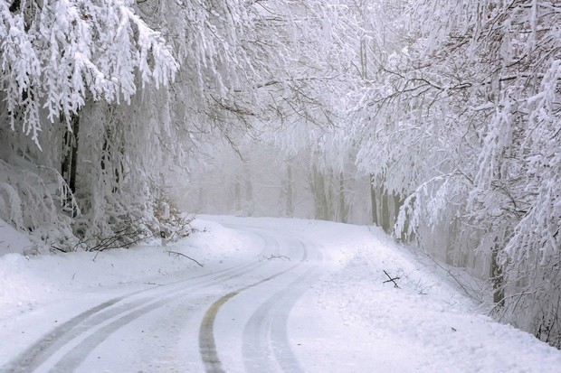 Eine schneebedeckte Straße im Wald.