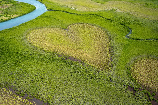 Das Bild zeigt einen Fluss und eine Wiese, in der ein Herz gemäht wurde.