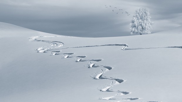 Ein schneebedeckter Hügel.